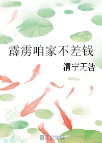 霹雳咱家不差钱