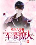 重生九零之军妻撩人