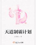 天道制霸计划