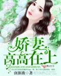 娇妻高高在上