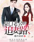 豪门老公的追妻路
