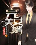 完美女婿