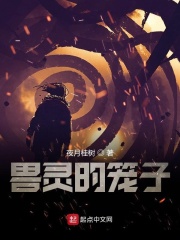 兽灵的笼子