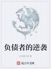 负债者的逆袭