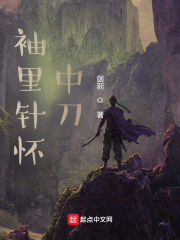袖里针怀中刀
