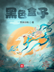黑色盒子