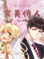 陆容易的完美情人
