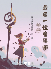 提瓦特：最后一位魔导师