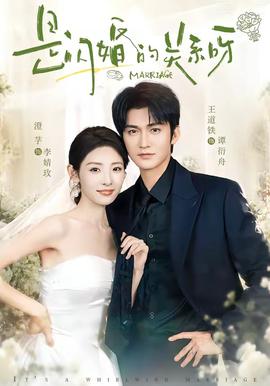 是闪婚的关系呀